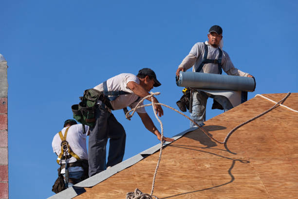 Best Roof Gutter Cleaning  in Georgetown, CA