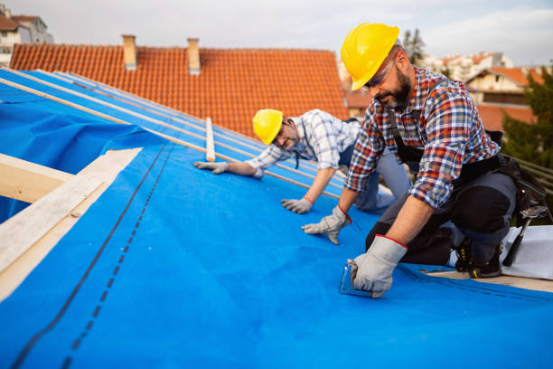 Best Flat Roof Repair Services  in Georgetown, CA